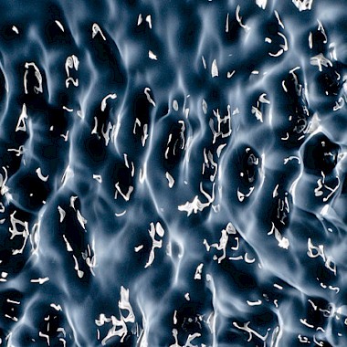 Good Vibrations with the BAV