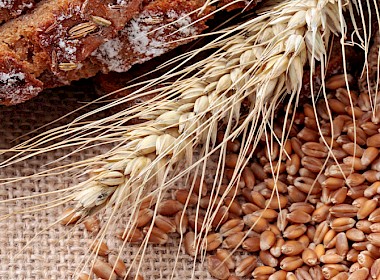 Foto: Feeding solutions for mills and fodder producers