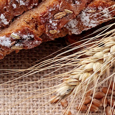 Dosierlösungen für Mühlen und die Futtermittelproduktion