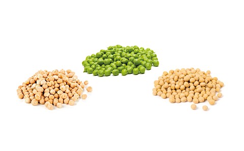 Foto: Some sources of vegetable protein from left to right: chickpeas, peas and soybeans.
