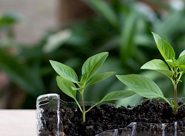 Foto: The Circular System of the Future